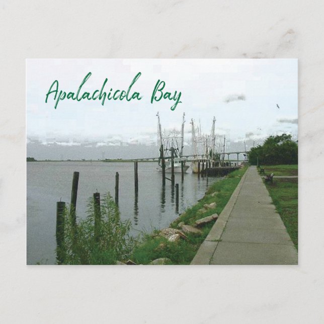 Apalachicola Bay Florida with oyster boats Postcard (Front)