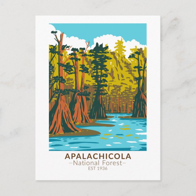 Apalachicola National Forest Baldcypress Tree Postcard (Front)