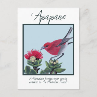 Apapane & Lehua Blossom Hawaii Nature Illustration Postcard