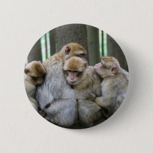 Ape Group Hug 2 Inch Round Button