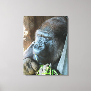 Ape hood ~ Japanese Gorilla Eating Canvas Print