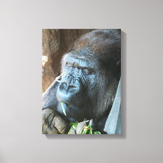 Ape hood ~ Japanese Gorilla Eating Canvas Print (Front)