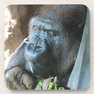 Ape hood ~ Japanese Gorilla Eating Coaster