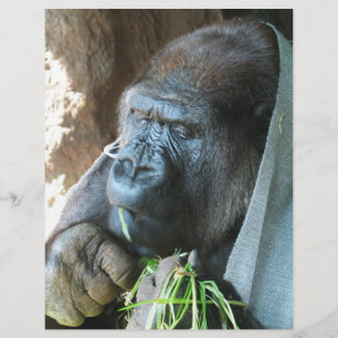 Ape hood ~ Japanese Gorilla Eating Flyer