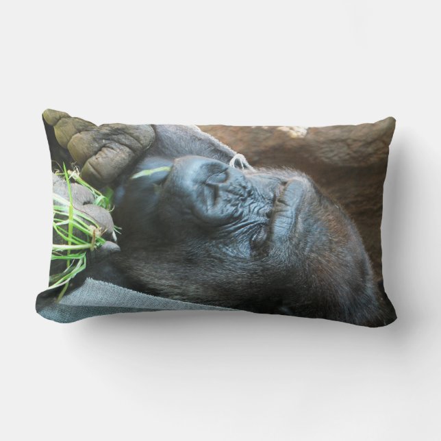 Ape hood ~ Japanese Gorilla Eating Lumbar Pillow (Front)