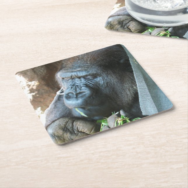 Ape hood ~ Japanese Gorilla Eating Square Paper Coaster (Angled)