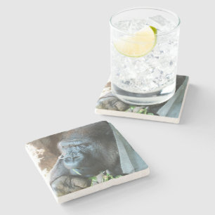 Ape hood ~ Japanese Gorilla Eating Stone Coaster
