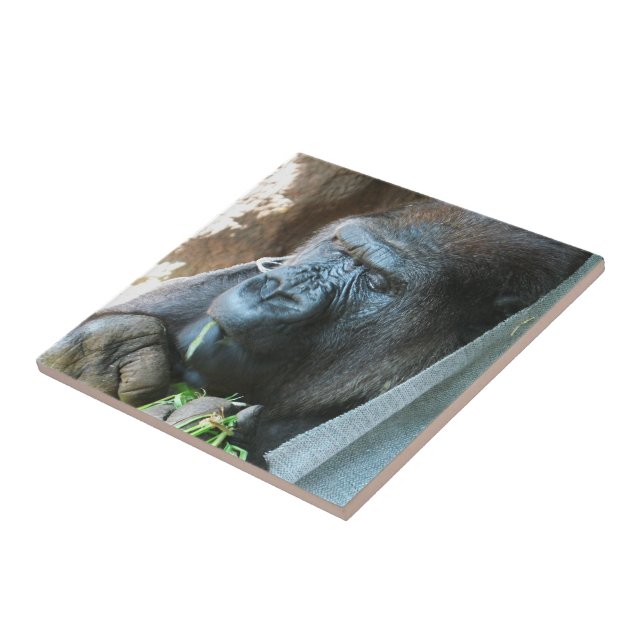 Ape hood ~ Japanese Gorilla Eating Tile (Side)