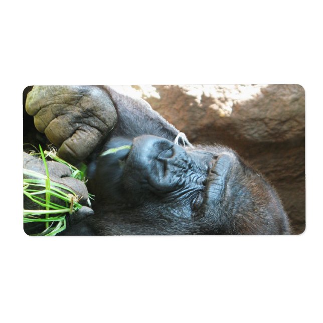 Ape hood ~ Japonais Gorilla Manger (Devant)
