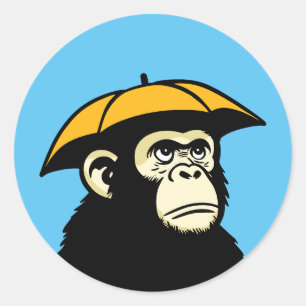 Ape no like rain classic round sticker