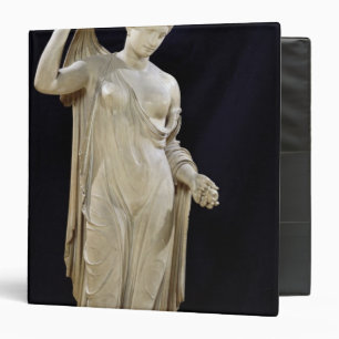Aphrodite Genetrix, Roman copy Binder