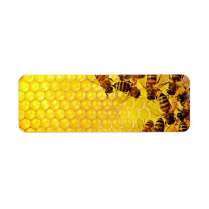 Apiarist d'apiculteur de vendeur de miel d'abeille