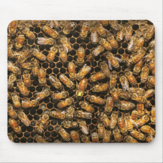 Apiary - Bee - A hail the queen Mouse Pad
