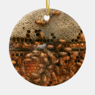 Apiary - Bee's - Sweet success Ceramic Ornament