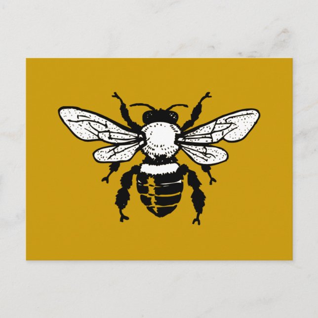 Apis Mellifera Honeybee Postcard (Front)