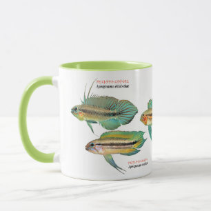 Apistgramma Mug