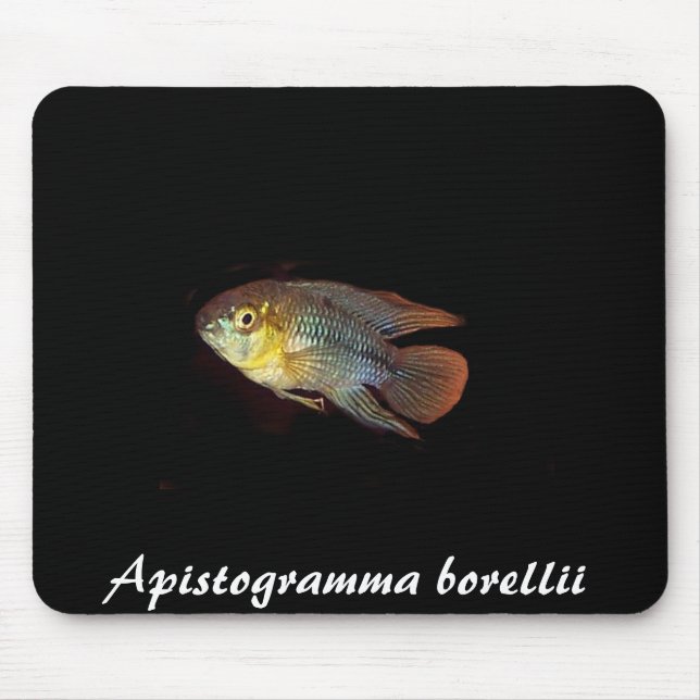 Apistogramma borellii mousepad (Front)