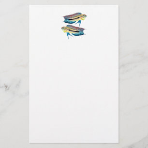 “Apistogramma mendezi”の優良製品 Stationery