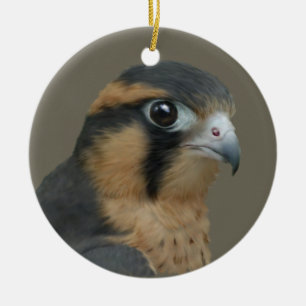 Aplomado Ceramic Ornament