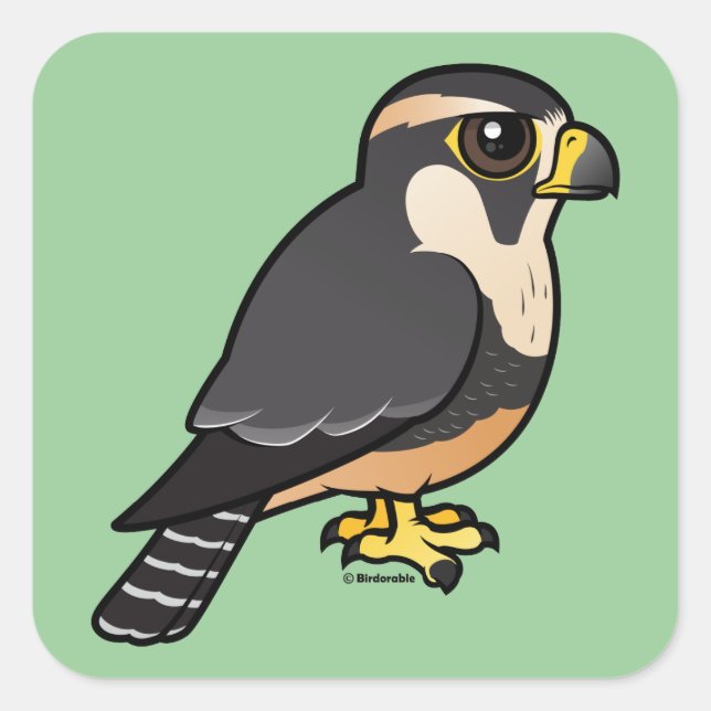 Aplomado Falcon Square Sticker (Front)