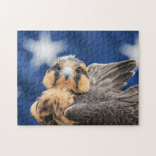 Aplomado Falcon with Flag Jigsaw Puzzle
