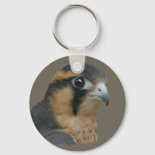 Aplomado Keychain