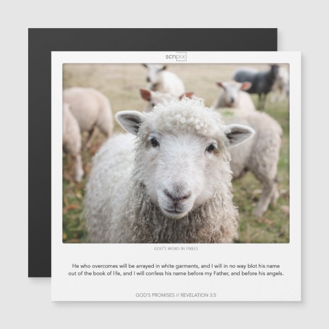 Apocalypse 3:5 GODS PROMISES SCRIPIX carte magnéti (Devant / Derrière)