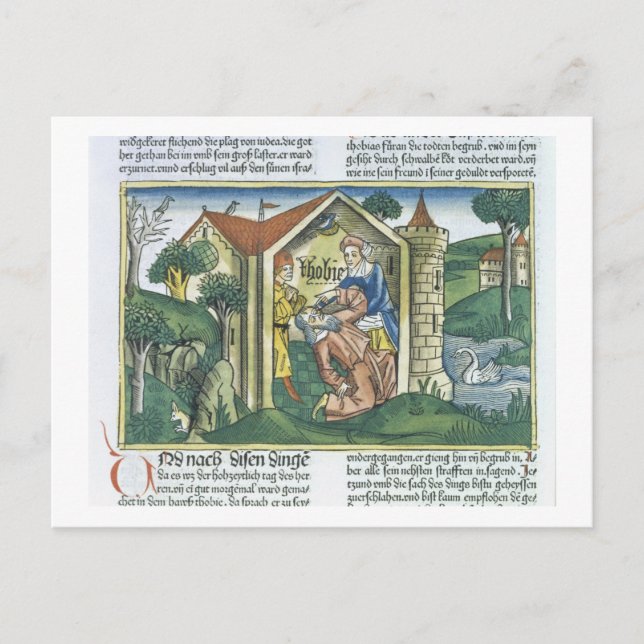 Apocrypha: Tobit is blinded by sparrow's droppings Postcard (Front)