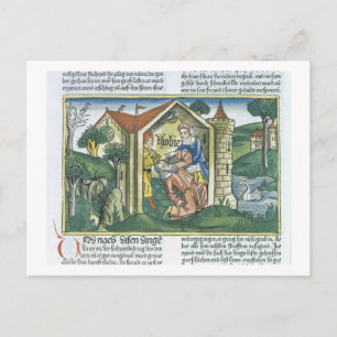 Apocrypha: Tobit is blinded by sparrow's droppings Postcard