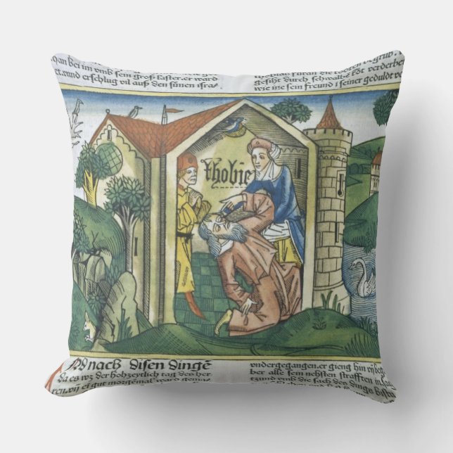 Apocrypha: Tobit is blinded by sparrow's droppings Throw Pillow (Front)