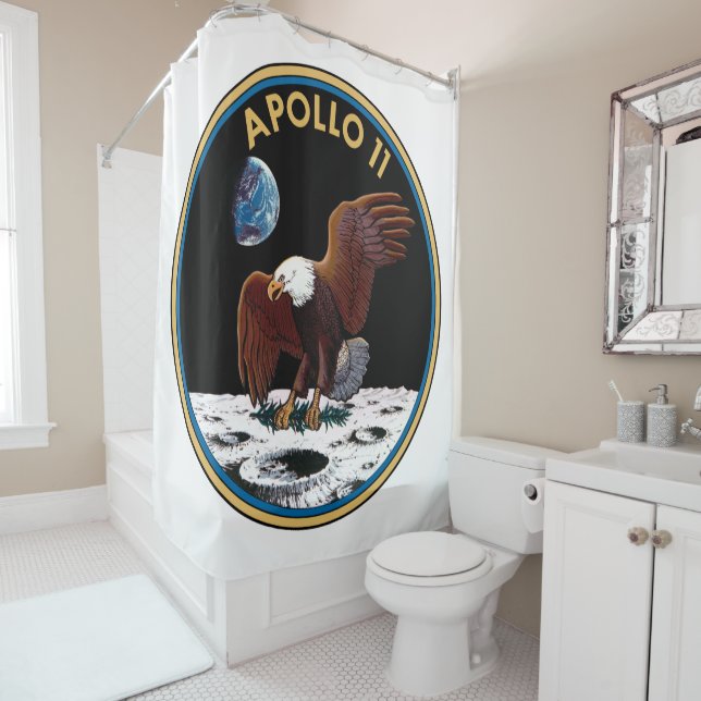 Apollo 11 insignia (In Situ)