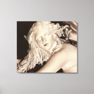 Apollo and Daphne, detail of Daphne's head Canvas Print