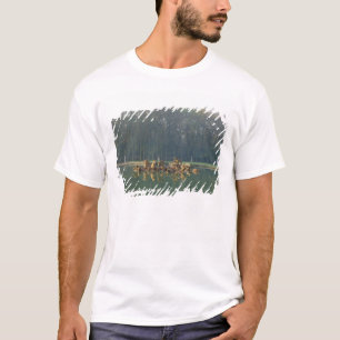 Apollo in his Chariot, from the Bassin T-Shirt
