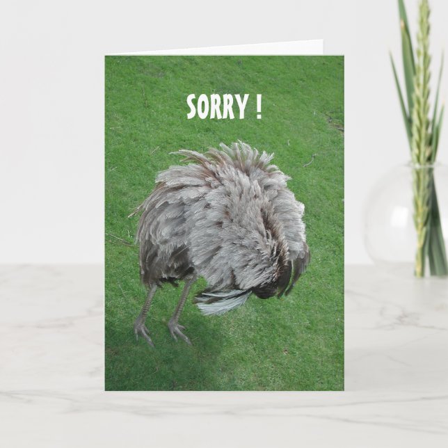 Apology Card (Front)
