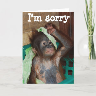 Apology I'm Sorry Card