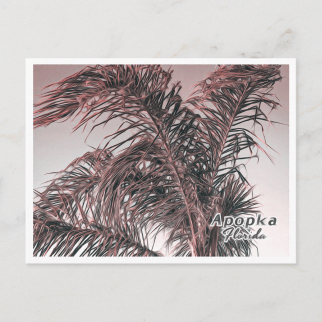 APOPKA FLORIDA POSTCARD (Front)