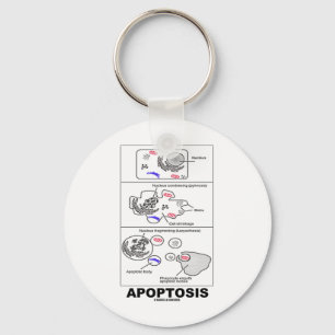 Apoptosis (Biology Cell Death) Keychain