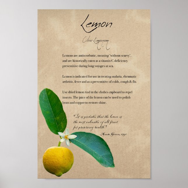 Apothécaire de plantes : Citron | Poster botanique (Devant)