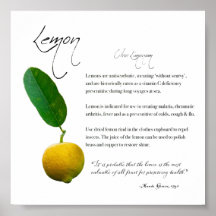 Apothécaire de plantes : Citron | Poster sur papie