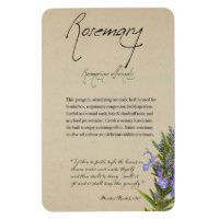 Apothécaire de plantes : romarin | Magnet