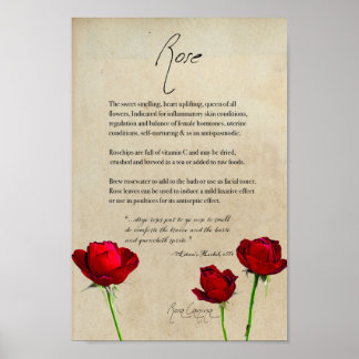 Apothécaire de plantes : Rose | Poster botanique