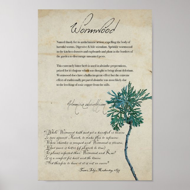 Apothécaire de plantes : Wormwood | Grand poster (Devant)