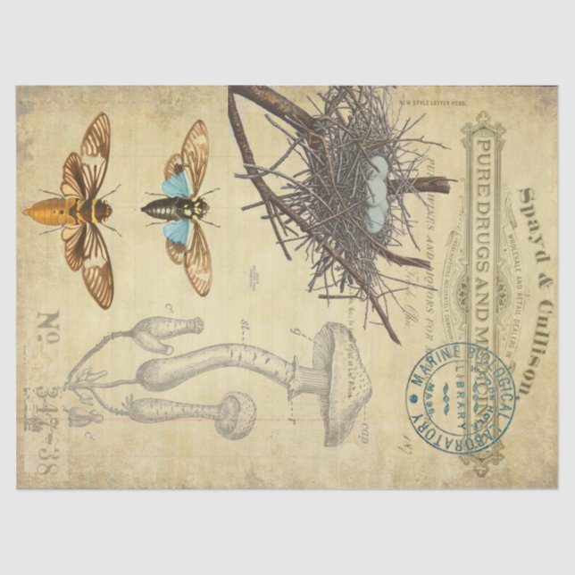 Apothecary Decoupage Tissue Tissue Paper (Front)