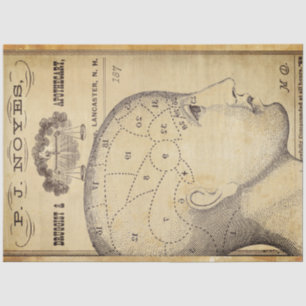 Apothecary Furniture Decoupage Paper