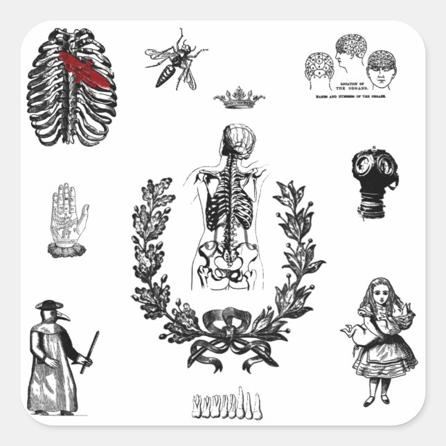 Apothecary Square Sticker (Front)