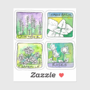 Apothecary Tea Jar Étiquettes Chamomile Rose