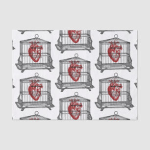 Apothecary Tissue Paper