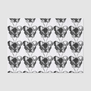 Apothecary Tissue Paper