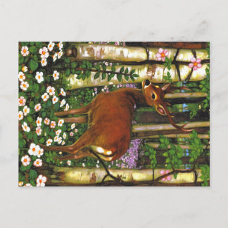 Appalachian Animals Postcard