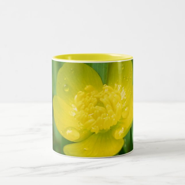 Appalachian Buttercup Mug (Center)